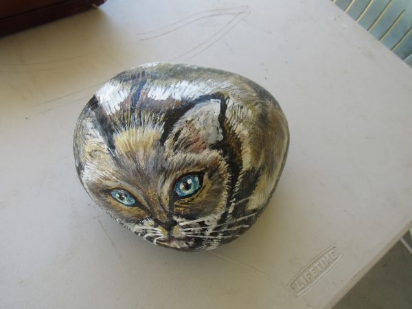 Art Rock Siamese by Artist Dahlia Ghaly