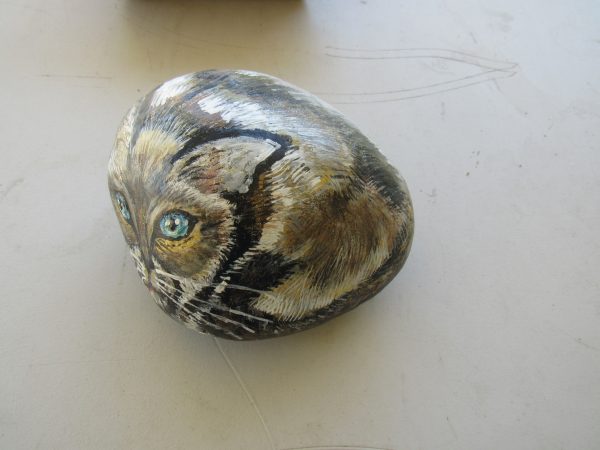 Art Rock Siamese by Artist Dahlia Ghaly