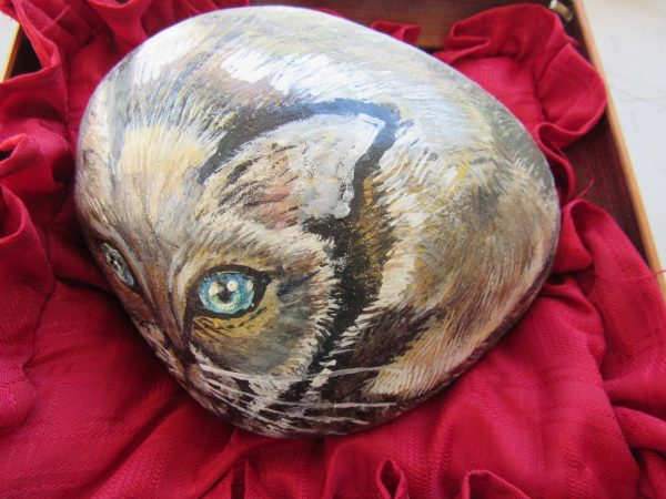 Art Rock Siamese by Artist Dahlia Ghaly