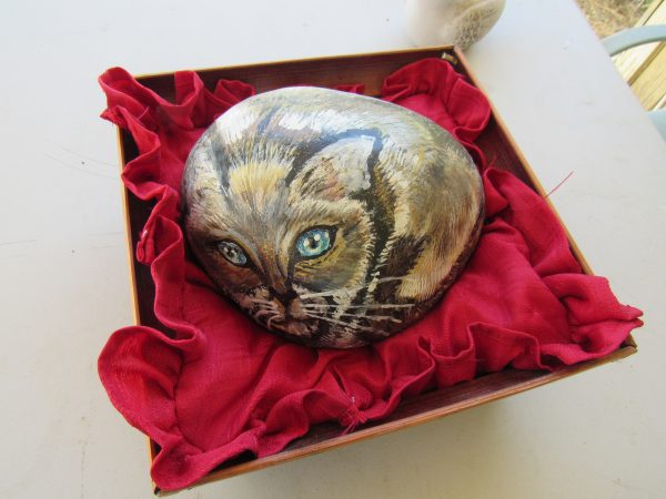 Art Rock Siamese by Artist Dahlia Ghaly