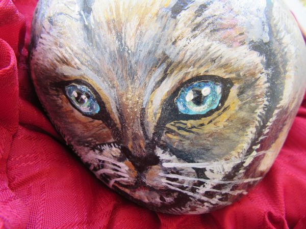 Art Rock Siamese by Artist Dahlia Ghaly