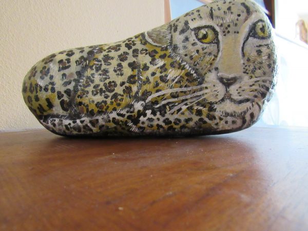 Leopard - Image 2